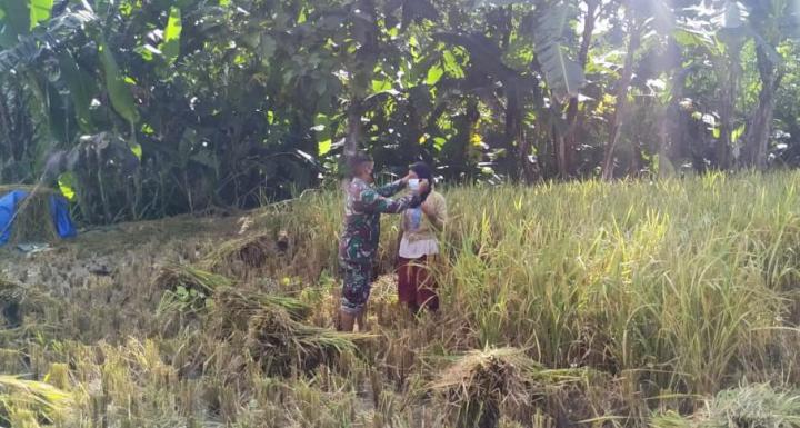  Berbagi Masker Disawah, Satgas TMMD 110 Bojonegoro Kampanye Prokes Pada Petani